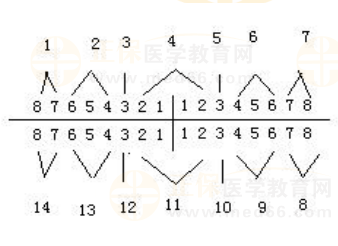 牙片數(shù) 牙片數(shù)
