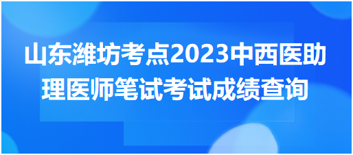 山東濰坊考點(diǎn)2023中西醫(yī)助理醫(yī)師筆試考試成績(jī)查詢(xún) 山東濰坊考點(diǎn)2023中西醫(yī)助理醫(yī)師筆試考試成績(jī)查詢(xún)