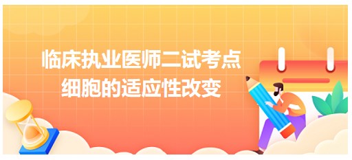 細胞的適應(yīng)性改變