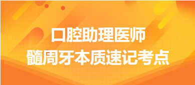 髓周牙本質(zhì) 髓周牙本質(zhì)