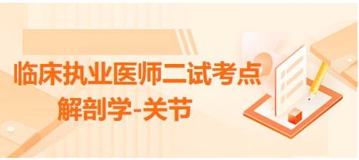 解剖學(xué)-關(guān)節(jié) 解剖學(xué)-關(guān)節(jié)