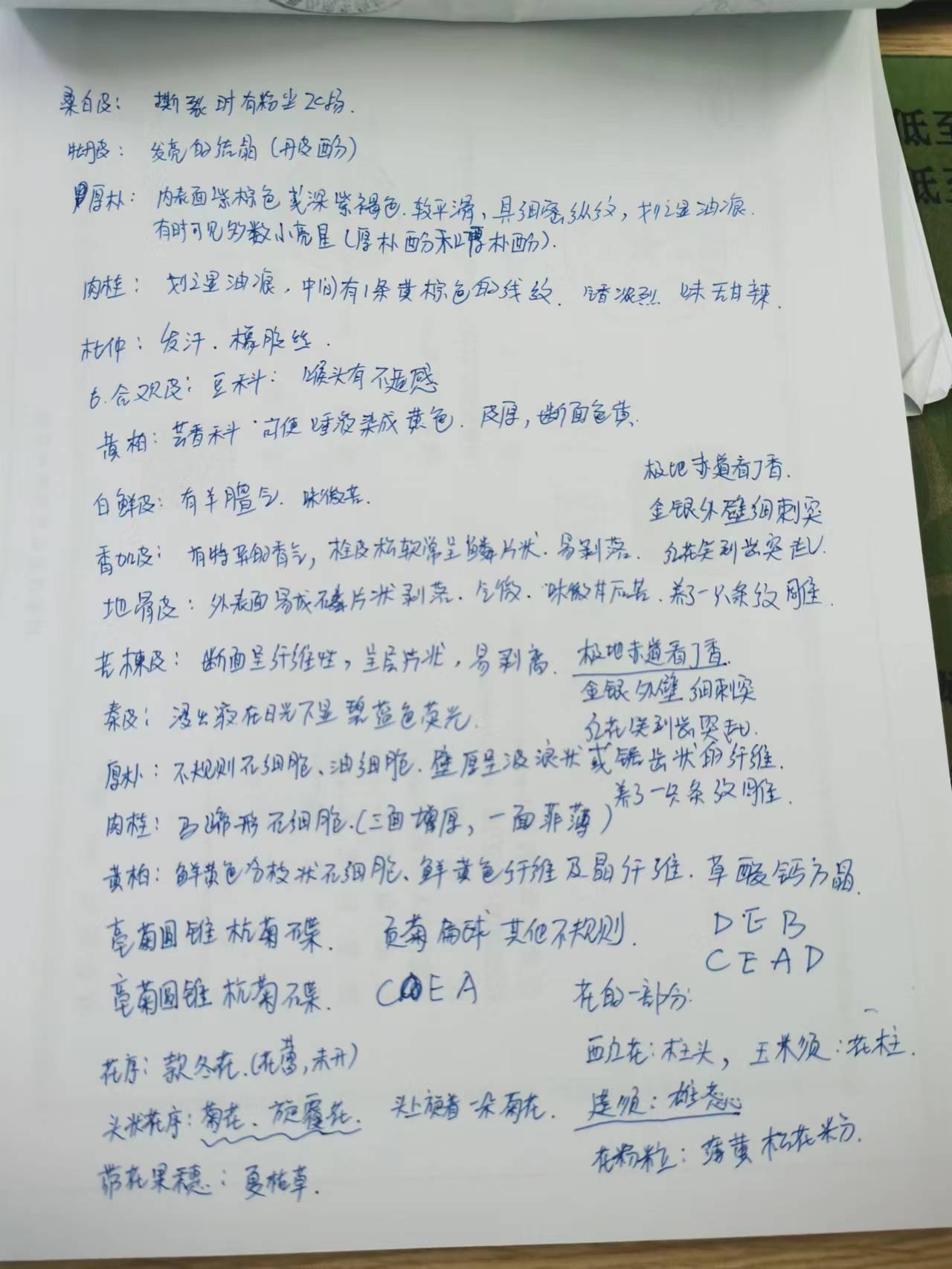 備考筆記1 備考筆記1