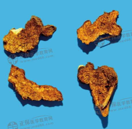 蒼術(shù) 蒼術(shù)