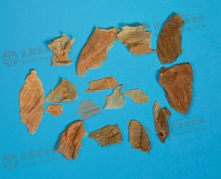 雞內(nèi)金 雞內(nèi)金