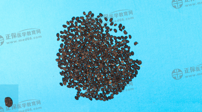 補(bǔ)骨脂 補(bǔ)骨脂