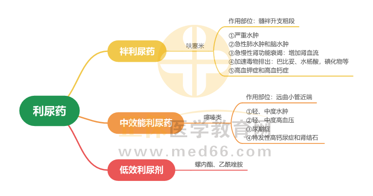 利尿藥_1 利尿藥_1