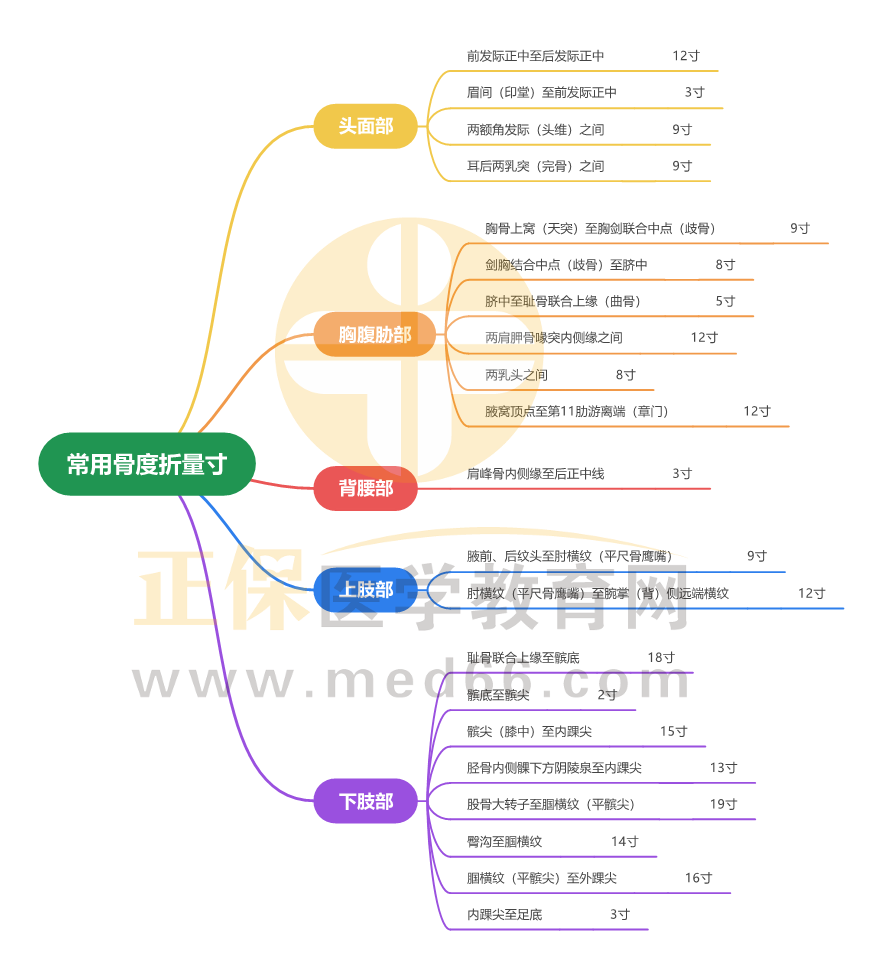 常用骨度折量寸_1 常用骨度折量寸_1